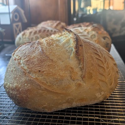 Create Your Own Sourdough Loaf