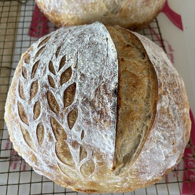Plain Sourdough Loaf