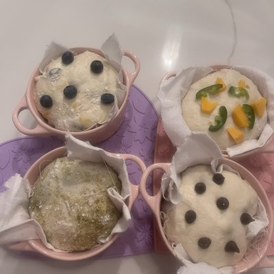 Organic Mini Sourdough Inclusions 
