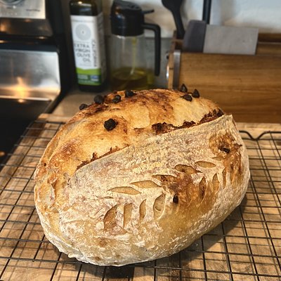 Chocolate Chip Sourdough Loaf