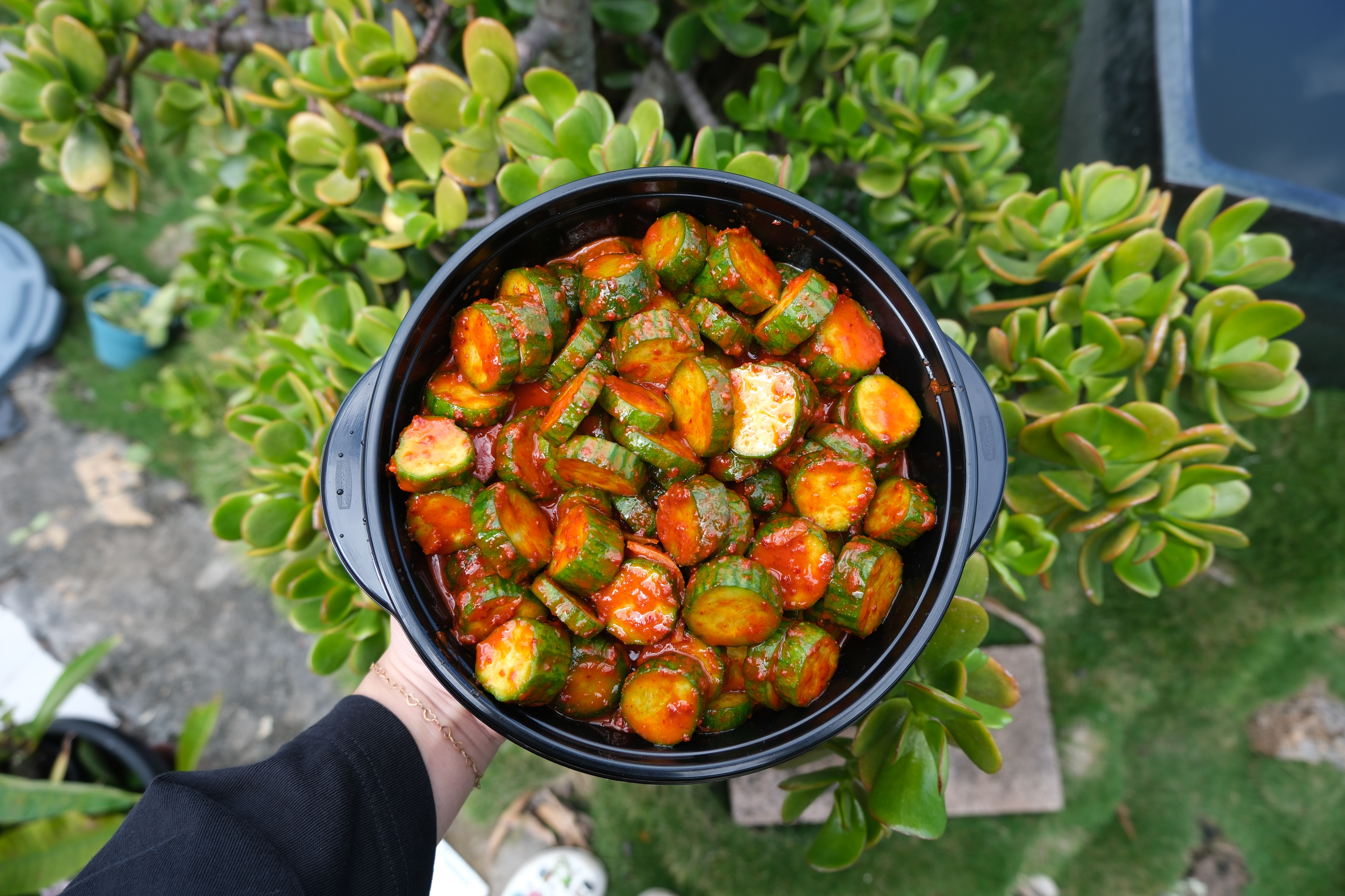 Mini Kuke Kimchi 8lb