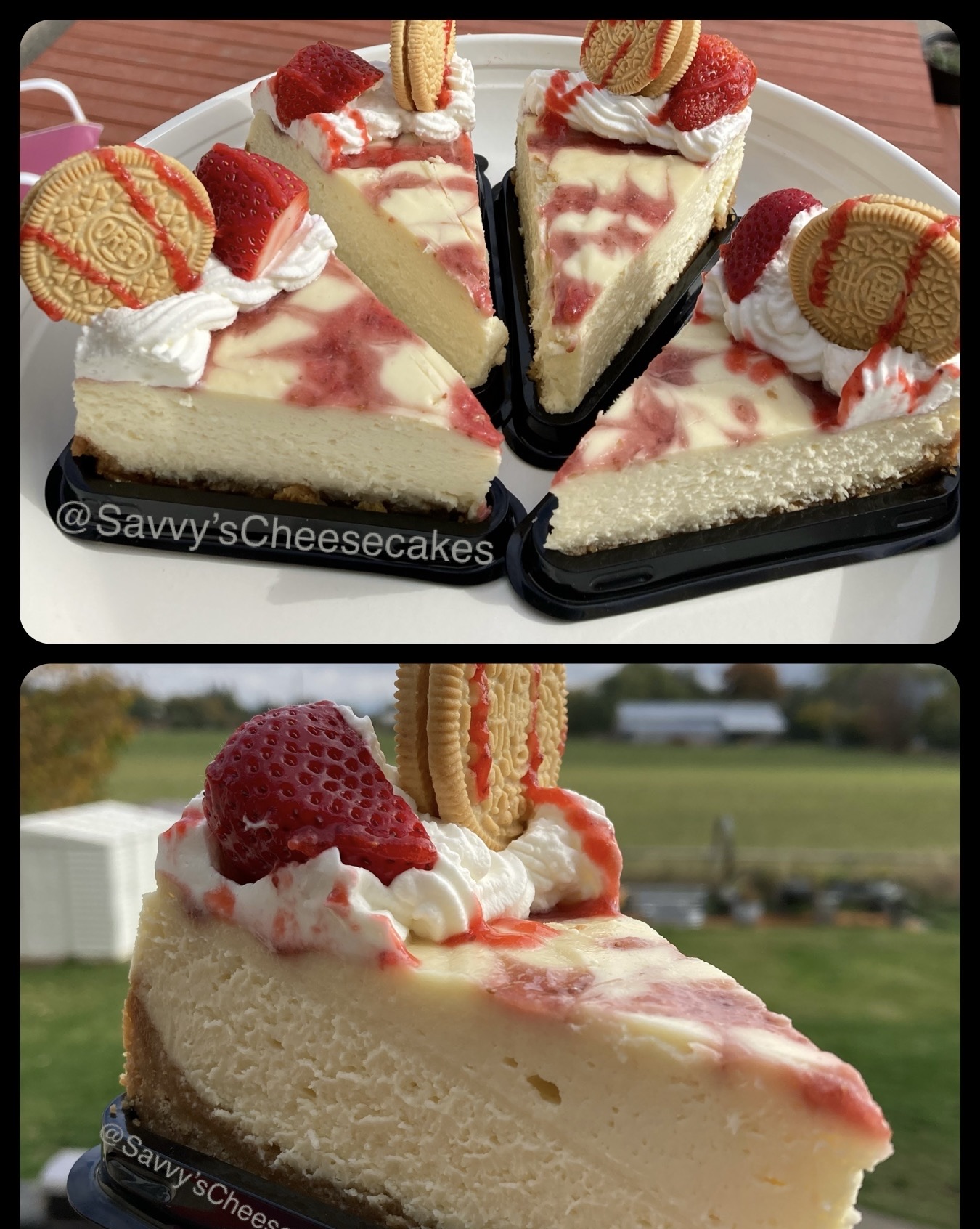 Strawberry Swirl Cheesecake 