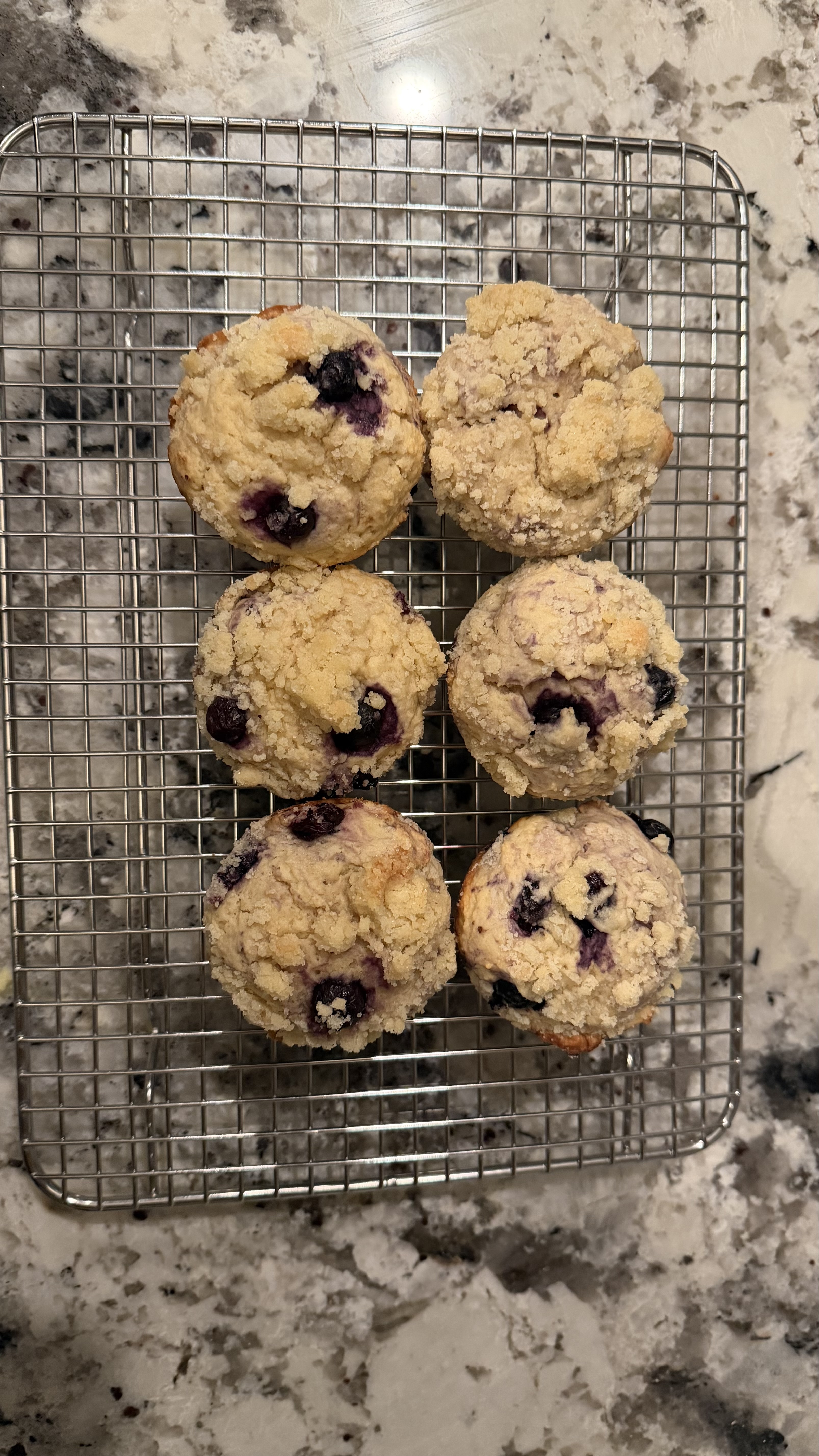 Sourdough Blueberry Muffins