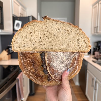Classic Sourdough