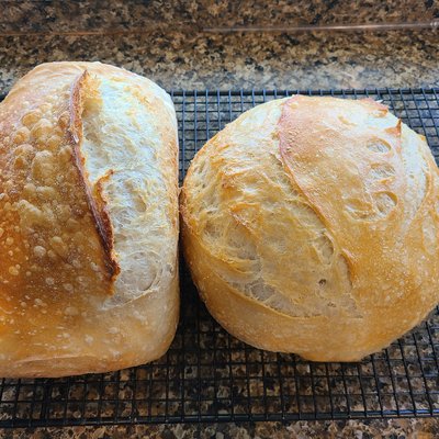 Classic Sourdough 