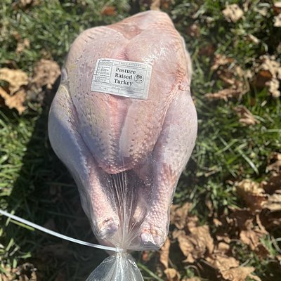 20.5 lb Pastured non-GMO Turkey
