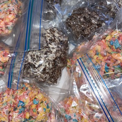 Coco Pebbles 