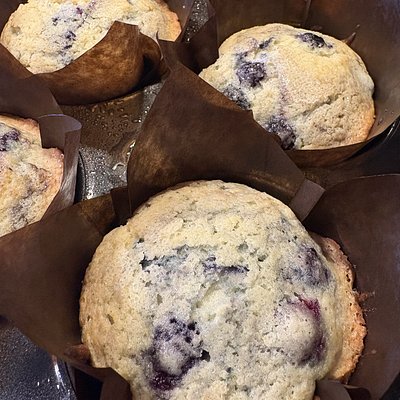 Jumbo Blueberry Muffins (2ct)