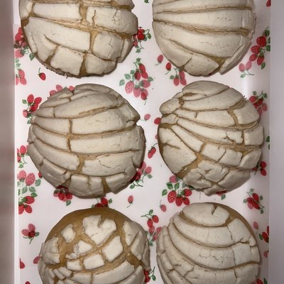 Mini Conchas