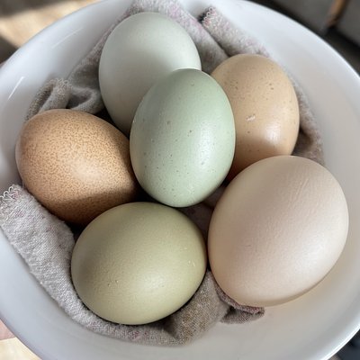 Eggs (1 Dozen)