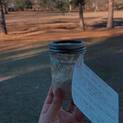 Active Sourdough Starter 
