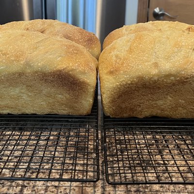 Plain Sandwhich Loaf 