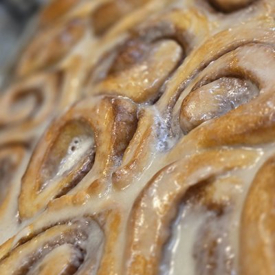 Cinnamon Bunnz