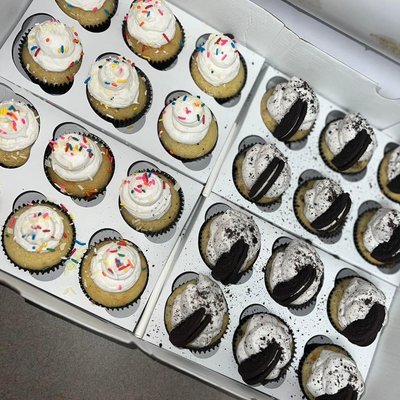 2 Dozen Cupcakes
