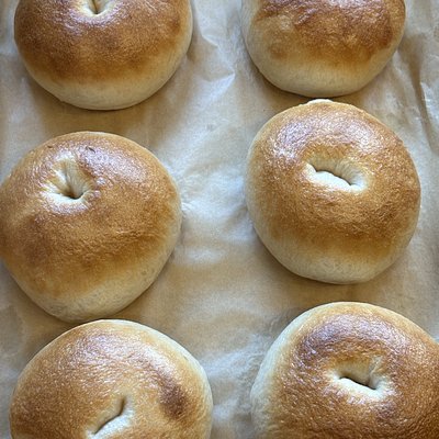 Bewitching Bagel