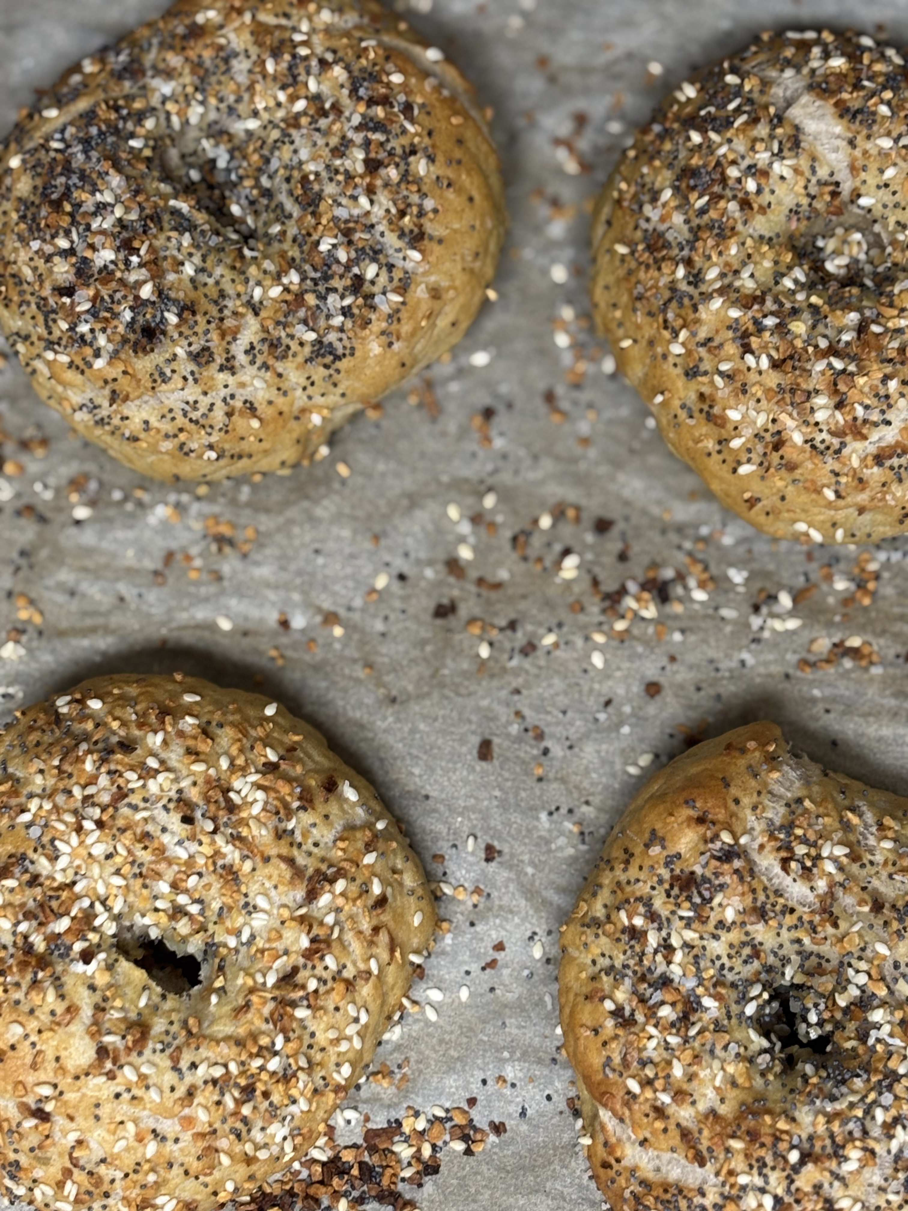 Sourdough Bagels
