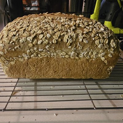Honey Wheat With Oat Topping