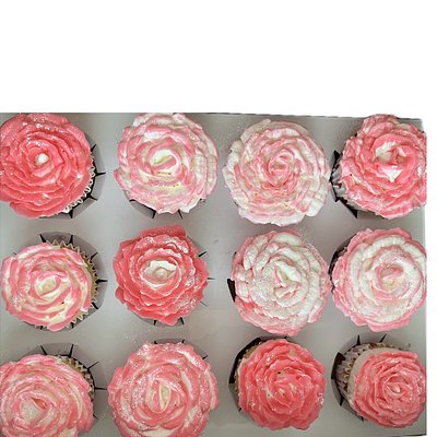1 Dozen Cupcakes