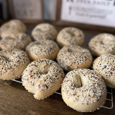 Dozen Sourdough Everything Bagels