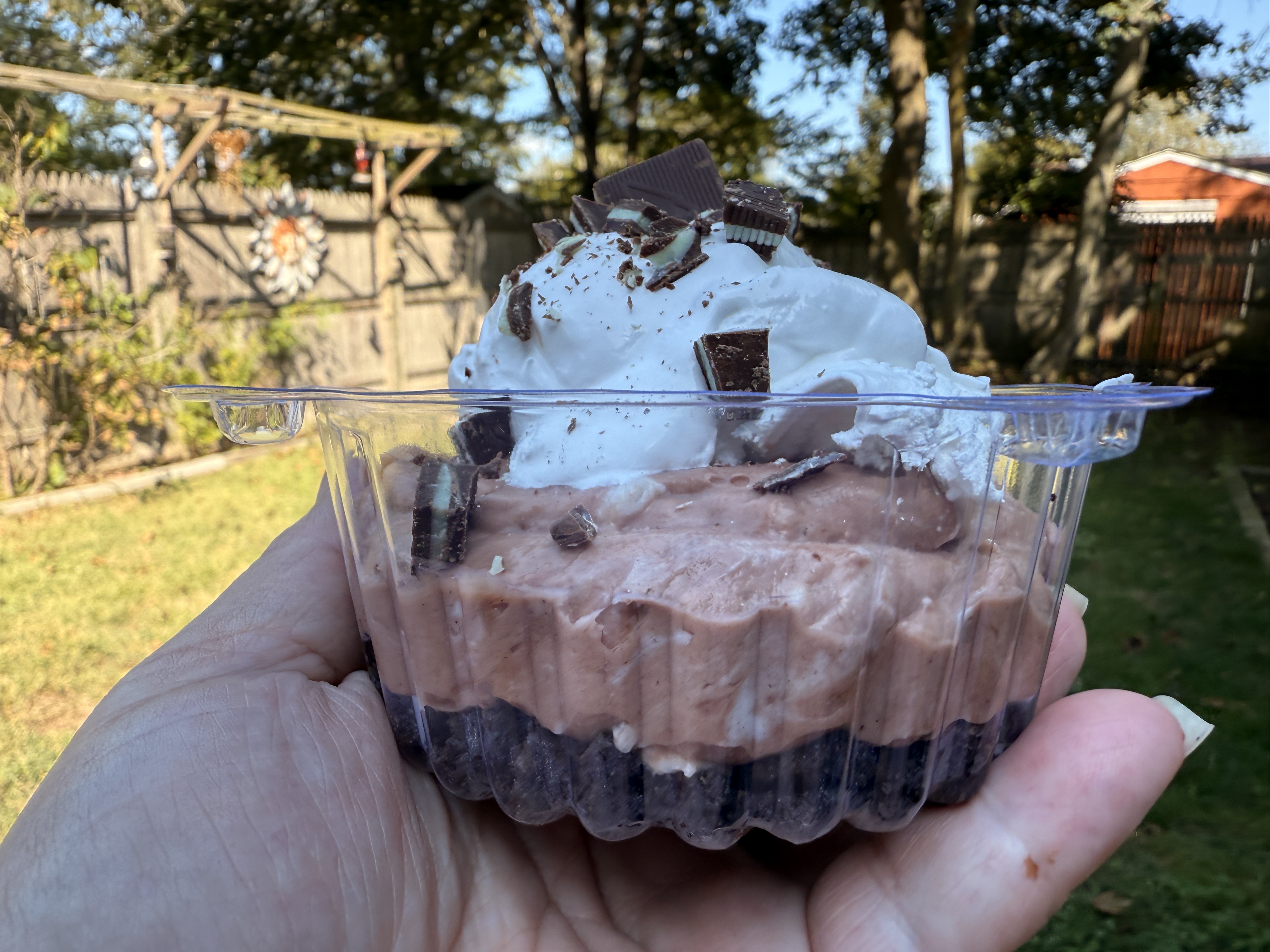 Mint Chocolate Parfait Cup