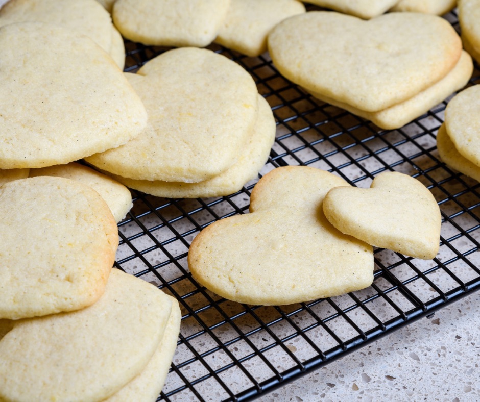 Undecorated Sugar Cookies