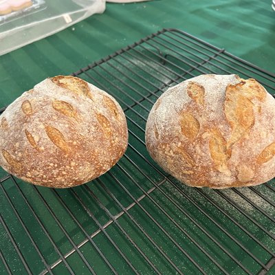 Sour Dough Bread Bowls