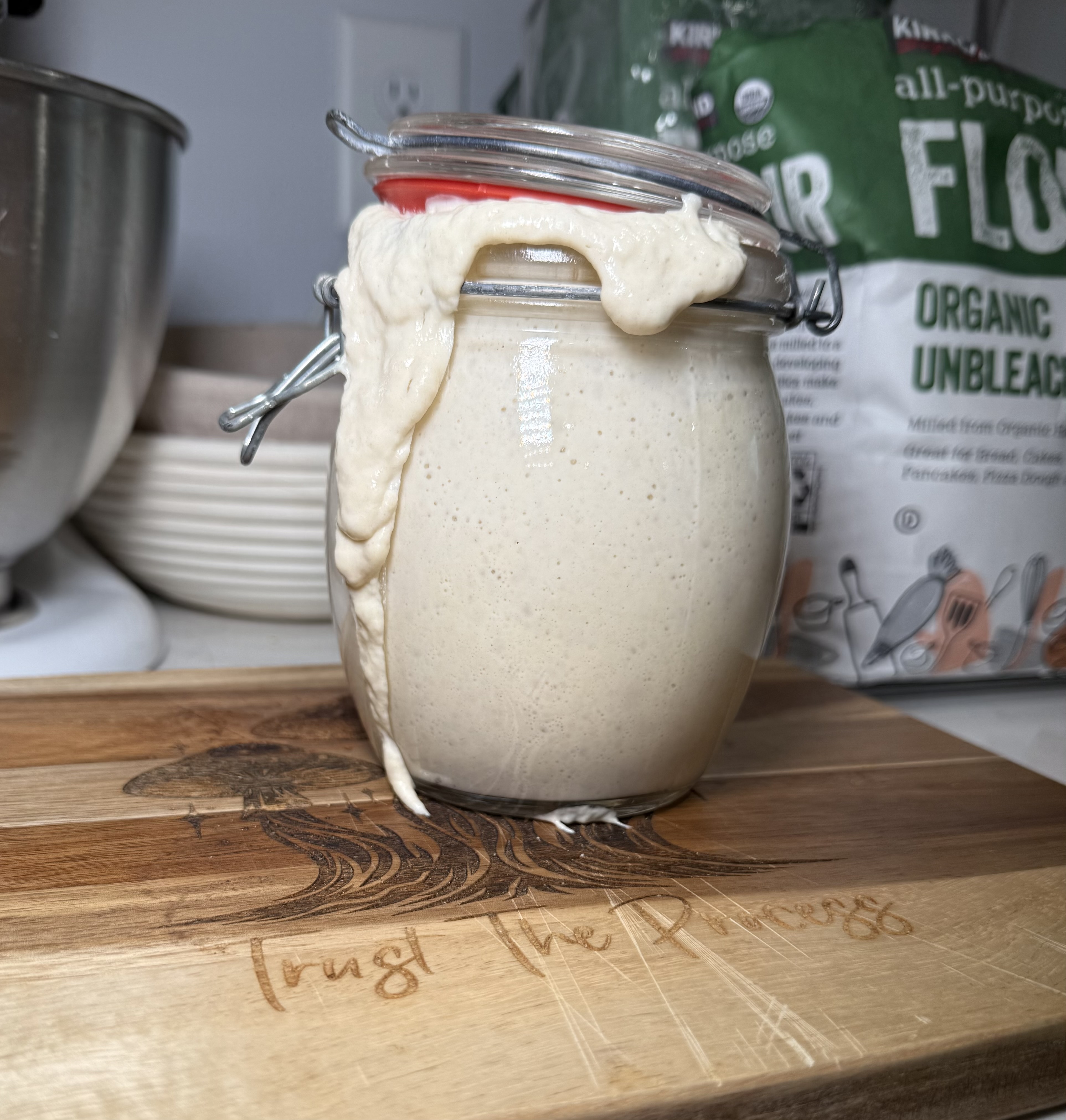 Organic Sourdough Starter- LIVE