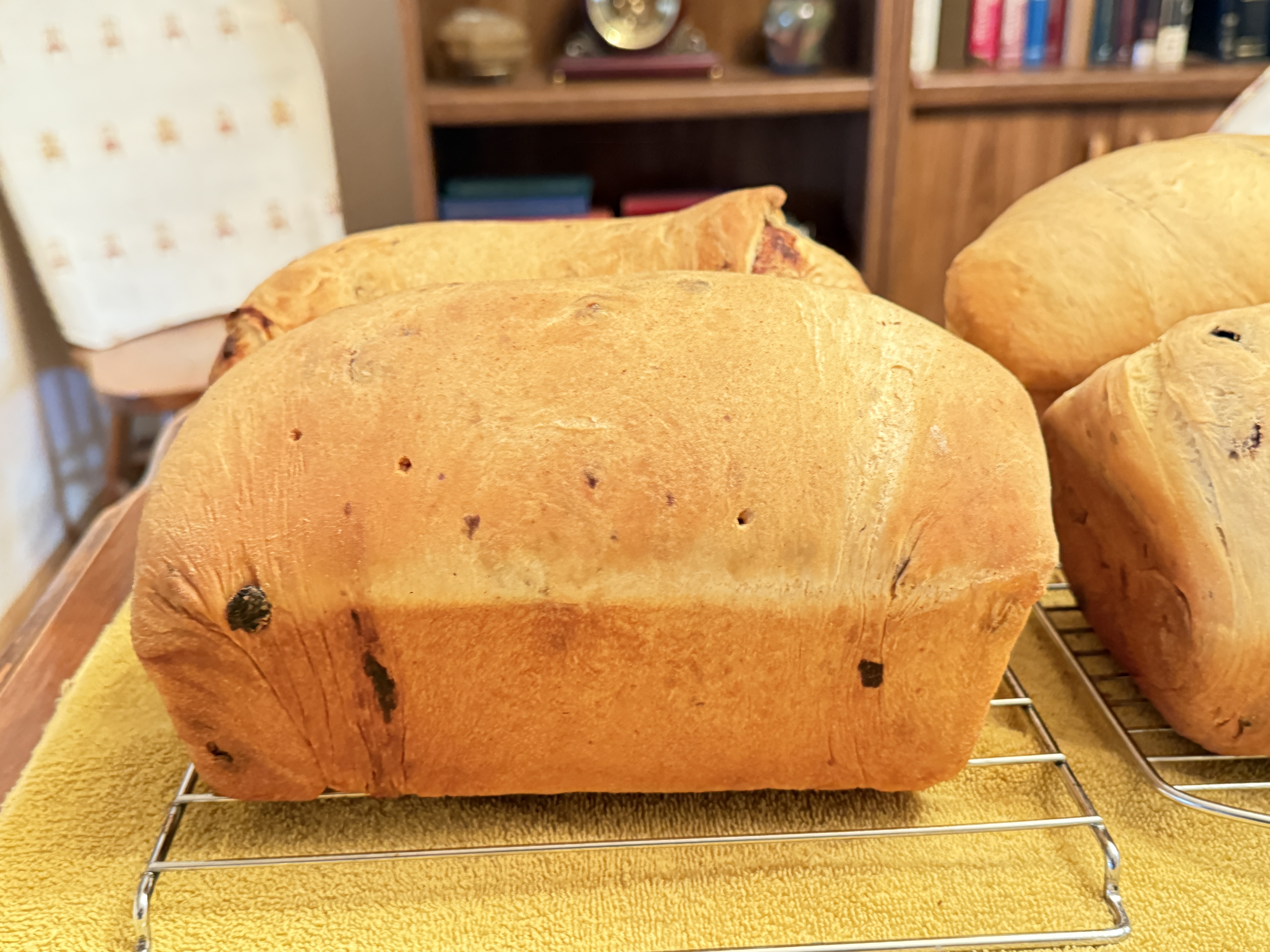  Cassie’s Cinnamon Raisin 