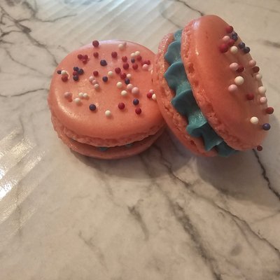 Circus Animal Macarons 6ct