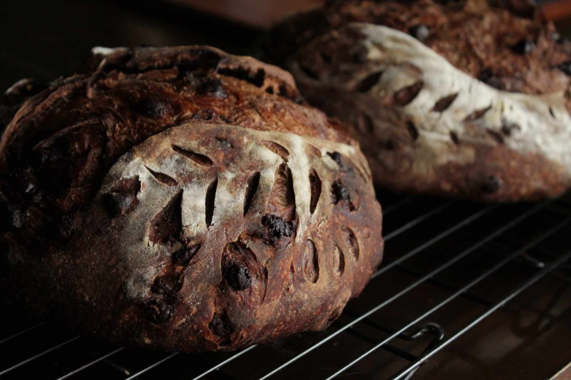 Double Chocolate Espresso Sourdough 