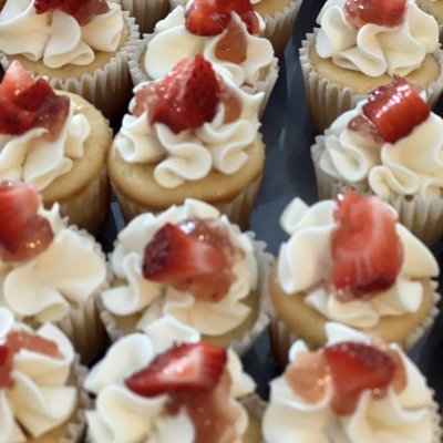 Mini Cupcakes 