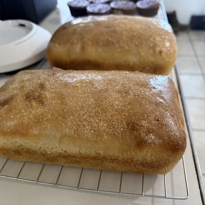 Plain Sourdough Loaf 