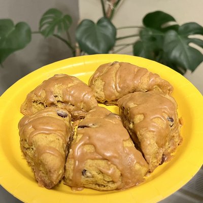 Pumpkin Chocolate Chip Sourdough Scones w/ Pumpkin Glaze (5-Pack) 南瓜酸种司康