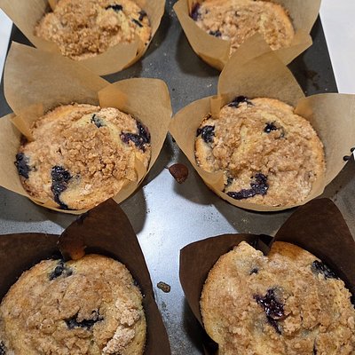Sourdough Blueberry Muffins 