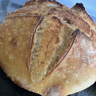 Sourdough Artisan Loaf