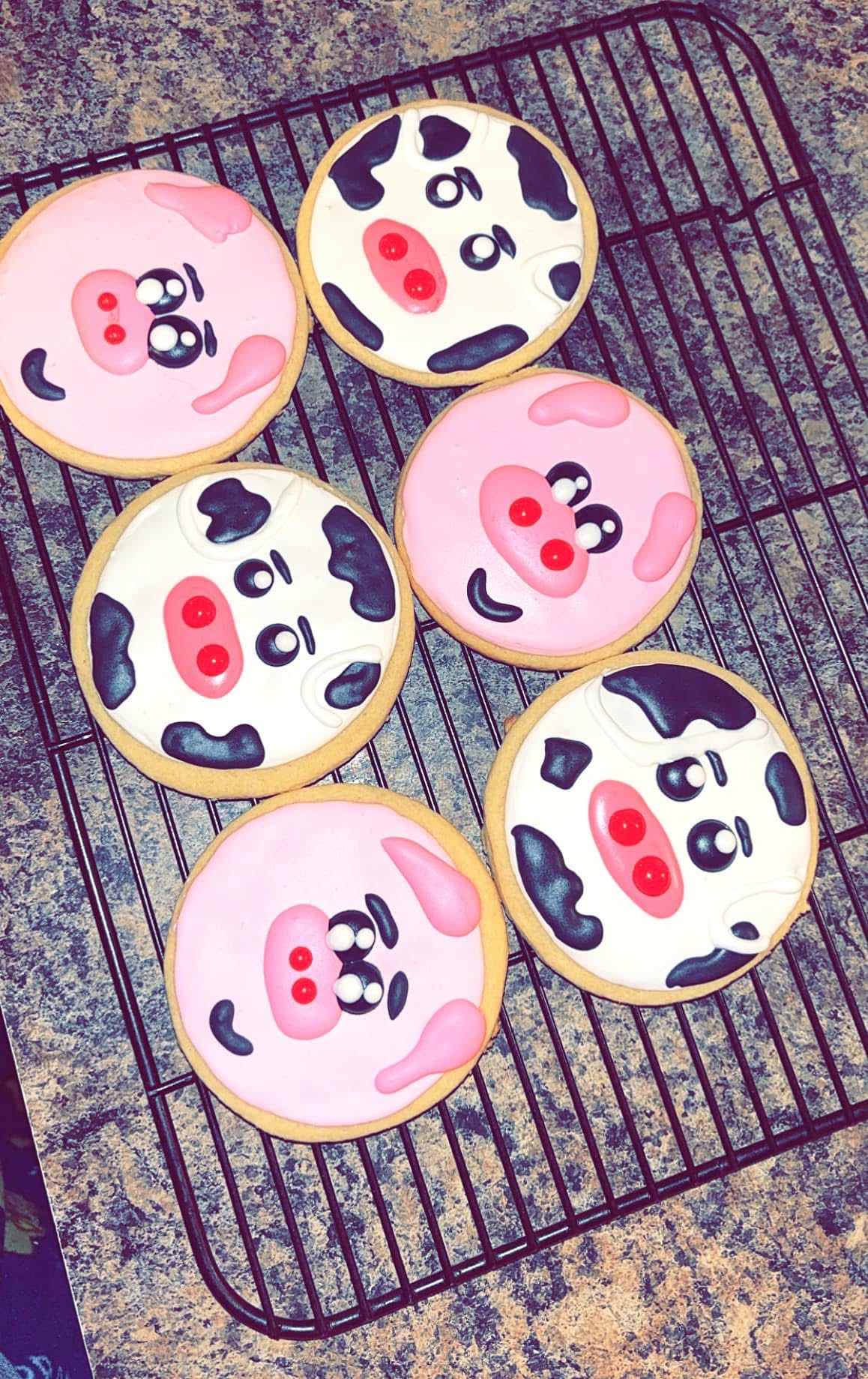 Basic Simple Sugar Cookies 
