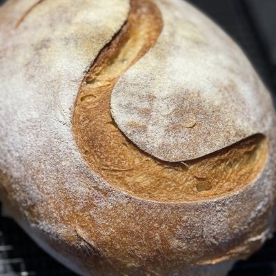 Sourdough Bread 