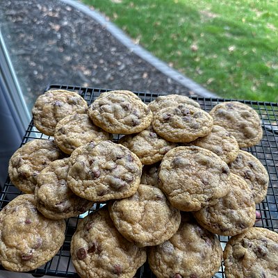 A Dozen Chocolate Chip Cookies