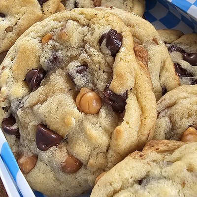 Turtle Cookies