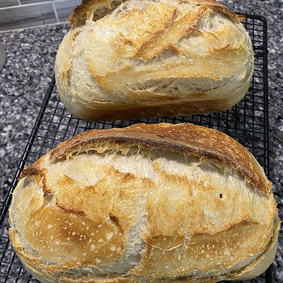 Plain Loaf