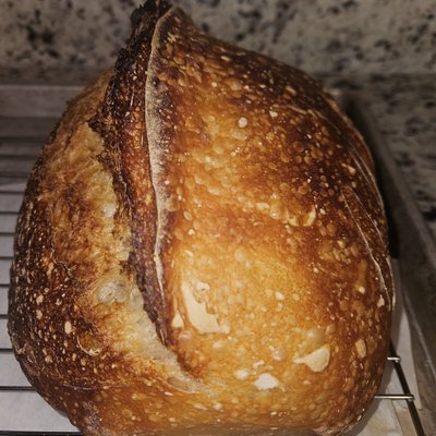 Artisan Sourdough Loaf Plain X-large