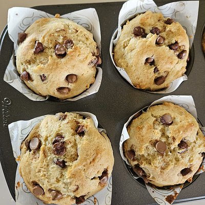 Chocolate Chip Muffins