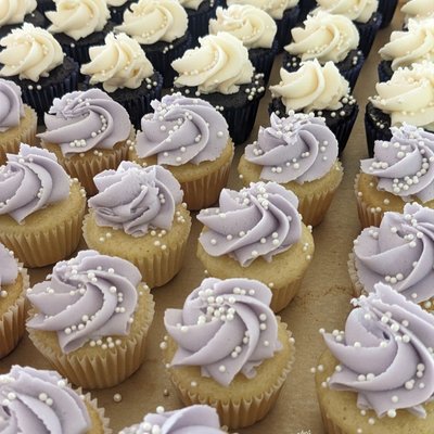 Mini Cupcakes 