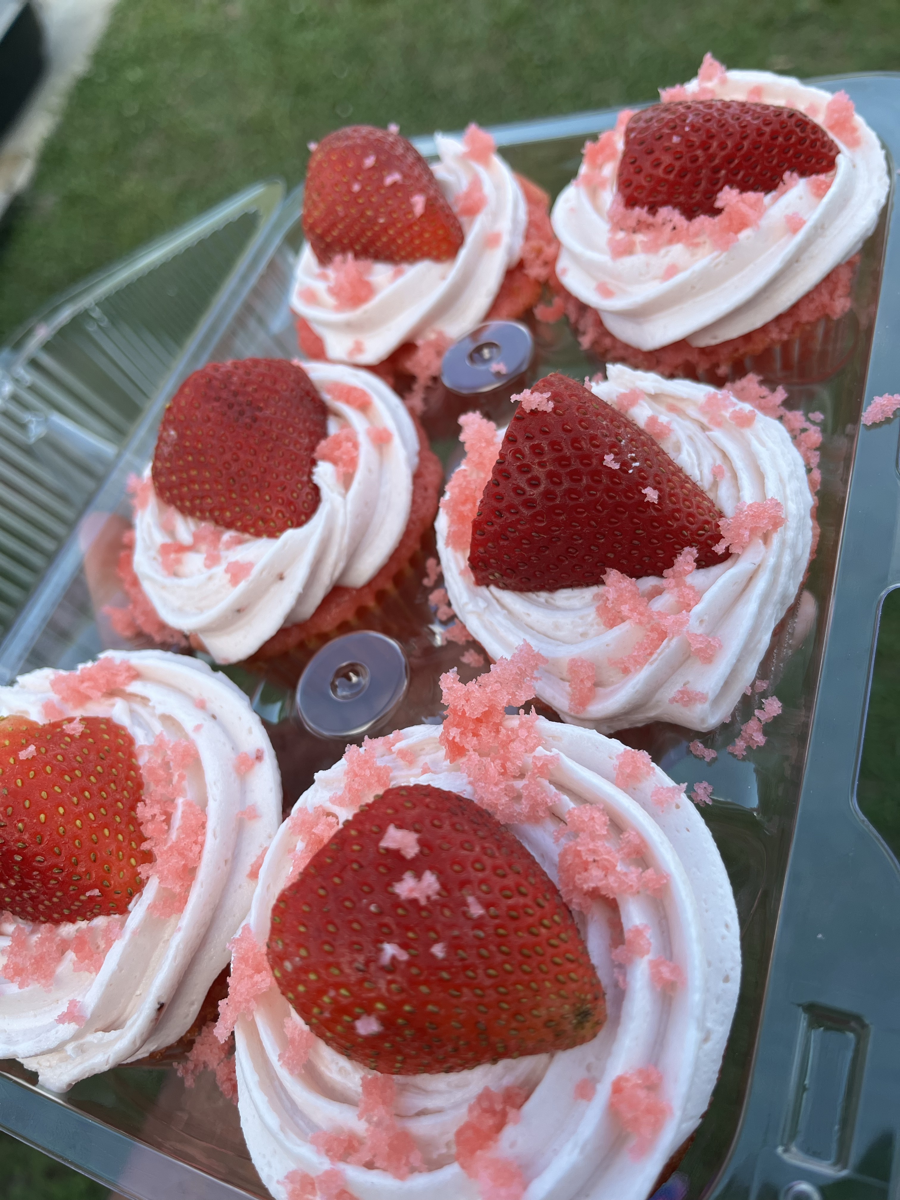 Cupcakes(dozen)