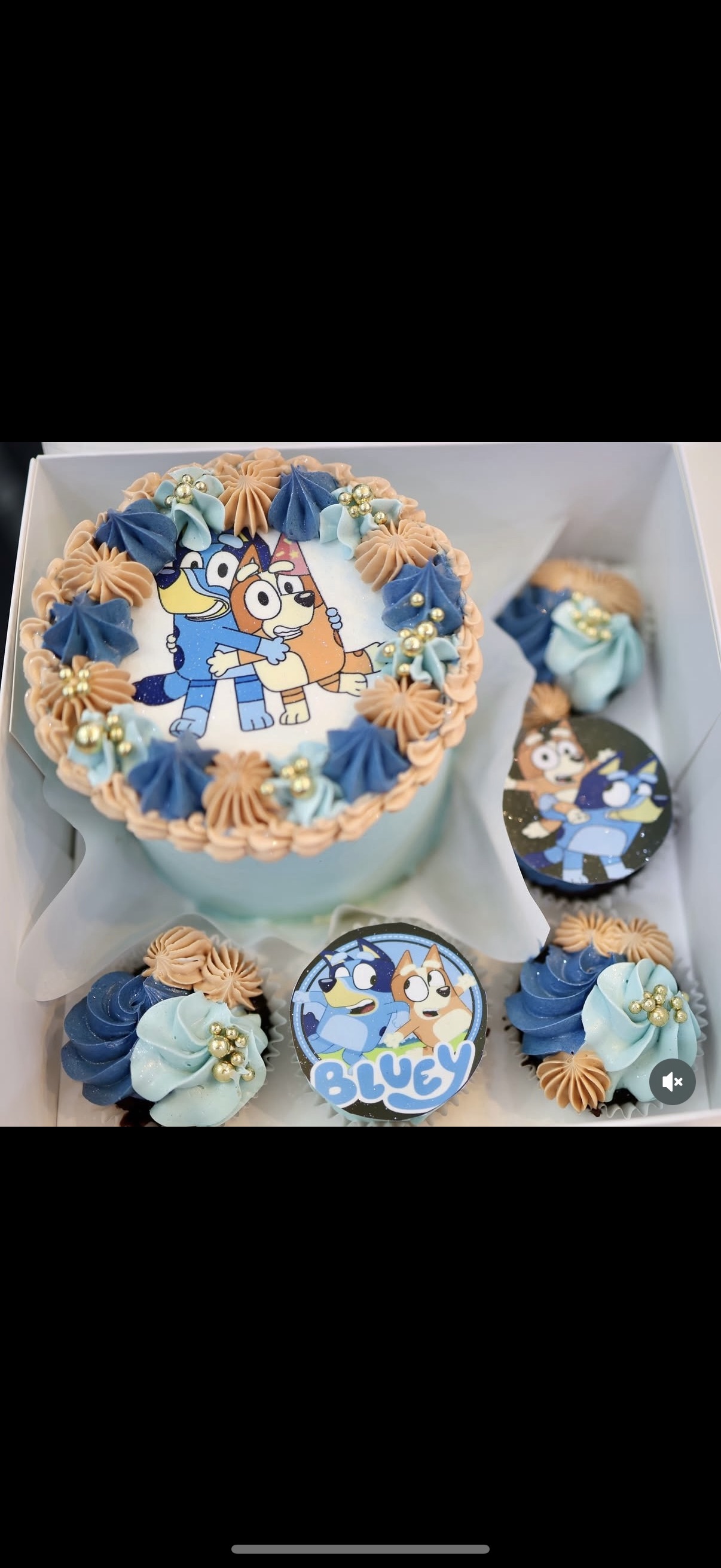 Bento Cake Box With Cupcakes