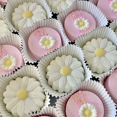 BASIC THEME- Coated Oreos/6pc