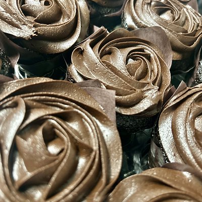 Chocolate Cupcakes 