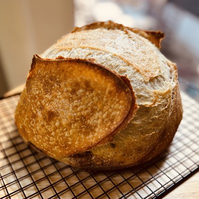 Sour Sammie - Plain