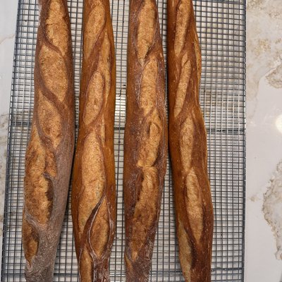 French Baguettes 