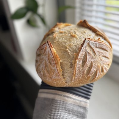 Standard Loaf